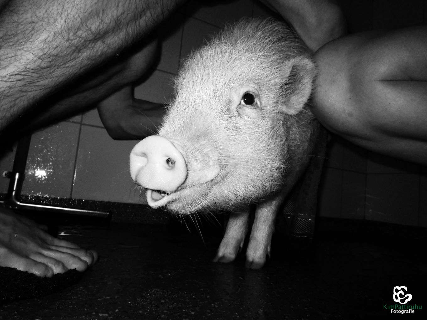 Francis Bacon onder de douche – foto Kim Pattiruhu